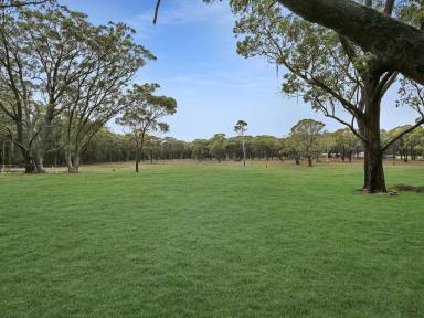 Residential Block For Sale - NSW - Wingello - 2579 - Wildwood Estate - A Beautiful Area To Reside  (Image 2)