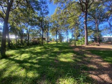 Residential Block For Sale - QLD - Macleay Island - 4184 - Large Block  (Image 2)