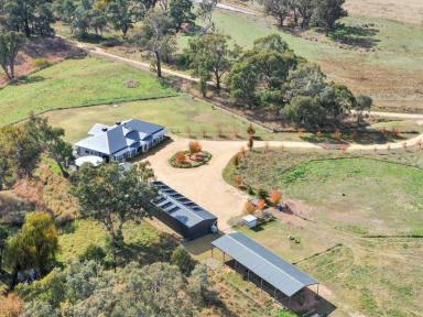 House Sold - NSW - Young - 2594 - One Of The Most Stunning Properties You Will Inspect On Acreage.  (Image 2)