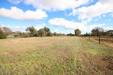 Residential Block For Sale - VIC - Elmore - 3558 - SPACIOUS 1 ACRE BLOCK IN TOWN  (Image 2)