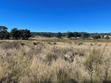 Residential Block Sold - QLD - Stanthorpe - 4380 - Stanthorpe beautiful vacant land prime location  (Image 2)