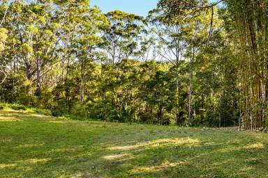 Residential Block For Sale - QLD - Tinbeerwah - 4563 - Exceptional Opportunity - Vacant Land in Tinbeerwah  (Image 2)