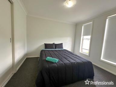 House For Sale - NSW - Tamworth - 2340 - 4 Bedroom Modern Home  (Image 2)