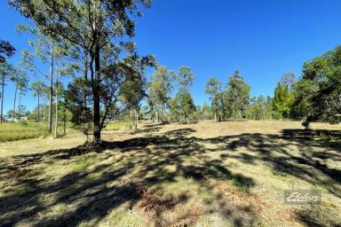 Residential Block For Sale - QLD - Glenwood - 4570 - WHAT A BUY!  (Image 2)