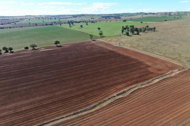 Mixed Farming For Sale - NSW - Junee - 2663 - Gundary Aggregation  (Image 2)