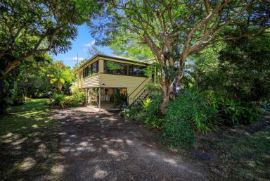 House For Sale - QLD - Bundaberg North - 4670 - ACREAGE ON CITY FRINGE WITH A REAL TROPICAL OASIS FEEL - WHAT A FIND !!!  (Image 2)