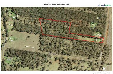 Lifestyle Sold - NSW - Inverell - 2360 - RELAXED, RURAL LIFESTYLE  (Image 2)