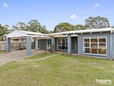 House Sold - TAS - Stony Rise - 7310 - Perfect For The Growing Family  (Image 2)