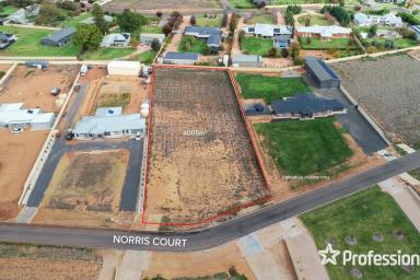 Residential Block For Sale - VIC - Red Cliffs - 3496 - 1-Acre Allotment - Ready to Build On!  (Image 2)