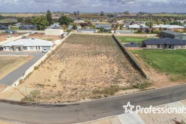 Residential Block For Sale - VIC - Red Cliffs - 3496 - 1-Acre Allotment - Ready to Build On!  (Image 2)