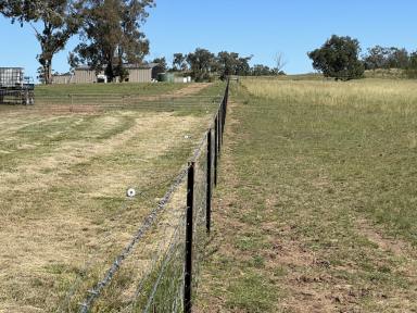 Other (Rural) For Sale - NSW - Warialda - 2402 - Rural Subdivision  (Image 2)