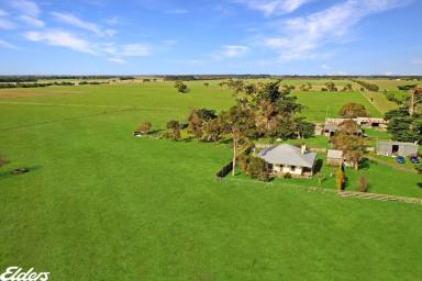 Mixed Farming For Sale - VIC - Yarram - 3971 - THE PERFECT TURNOUT PADDOCK  (Image 2)