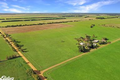 Mixed Farming For Sale - VIC - Yarram - 3971 - THE PERFECT TURNOUT PADDOCK  (Image 2)