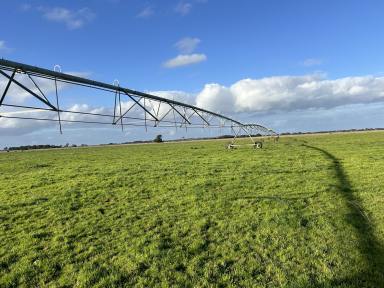 Other (Rural) For Sale - SA - Kongorong - 5291 - Solid Irrigation and Dairy Opportunity  (Image 2)