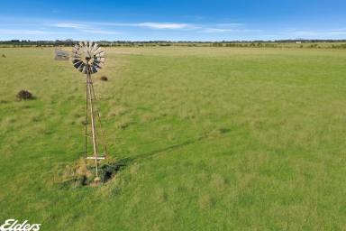 Mixed Farming Sold - VIC - Yarram - 3971 - 53 ACRES - CLOSE TO TOWN  (Image 2)