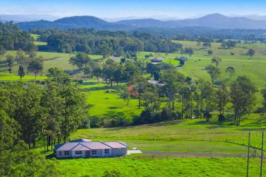 House Sold - NSW - Dondingalong - 2440 - Coast to Country - 3.5 acres with Spectacular Hinterland Views!  (Image 2)