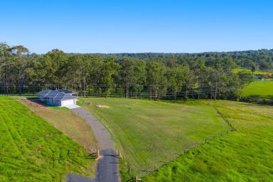 House Sold - NSW - Dondingalong - 2440 - Coast to Country - 3.5 acres with Spectacular Hinterland Views!  (Image 2)