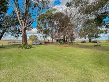 Lifestyle For Sale - VIC - Kerang - 3579 - Country Life  (Image 2)
