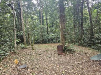Residential Block For Sale - QLD - Paluma - 4816 - 885 SQUARE METRE BLOCK WITH CREEK AT REAR!  (Image 2)