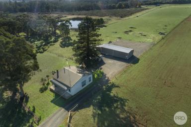 House For Sale - VIC - Leigh Creek - 3352 - Country Getaway, Almost 7 acres, Melbourne Side of Ballarat  (Image 2)