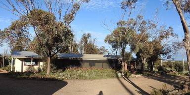 Acreage/Semi-rural Sold - SA - Quorn - 5433 - Spectacular Views  (Image 2)