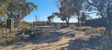 Acreage/Semi-rural Sold - SA - Quorn - 5433 - Spectacular Views  (Image 2)