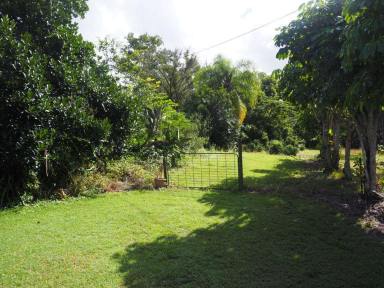 Acreage/Semi-rural For Sale - QLD - Gympie - 4570 - SUBDIVISION POTENTIAL (STCA)  (Image 2)