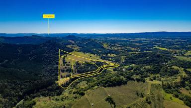 Acreage/Semi-rural For Sale - QLD - Amamoor - 4570 - Magnificent Amamoor Creek Frontage on 83 Acres with 5 titles and a water license!  (Image 2)