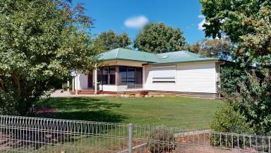 Lifestyle For Sale - VIC - Katunga - 3640 - Animal lovers are welcome  (Image 2)