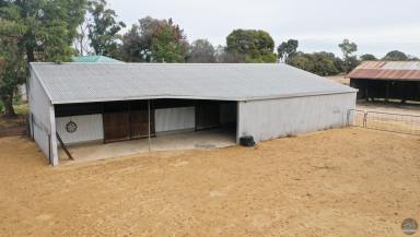Lifestyle For Sale - VIC - Katunga - 3640 - Lifestyle property - room for the tradie or animal lovers  (Image 2)