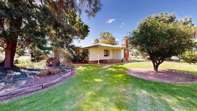 Lifestyle For Sale - VIC - Katunga - 3640 - Animal lovers are welcome  (Image 2)