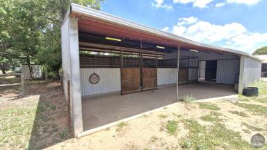 Lifestyle For Sale - VIC - Katunga - 3640 - Horse & animal lovers are welcome  (Image 2)