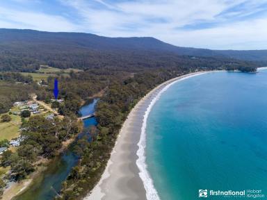 Residential Block For Sale - TAS - Adventure Bay - 7150 - Residential Land 200m from Adventure Bay Beach!  (Image 2)