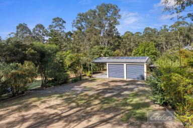 House Sold - QLD - Curra - 4570 - ACREAGE opportunity UNDER $600,000!  (Image 2)