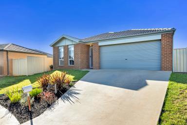 House Sold - VIC - Mildura - 3500 - Family-Friendly Living with Ample Space  (Image 2)