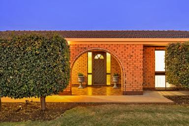 House For Sale - VIC - Red Cliffs - 3496 - A Lifestyle of Comfort and Space  (Image 2)