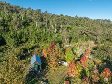 Residential Block For Sale - NSW - Brogo - 2550 - VALUE FOR MONEY!  (Image 2)