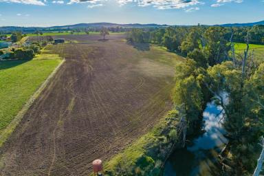 Cropping Sold - NSW - Canowindra - 2804 - PRIME IRRIGATION & SELF WATERING RIVER FLATS + 562ML IRRIGATION ENTITLEMENT!  (Image 2)