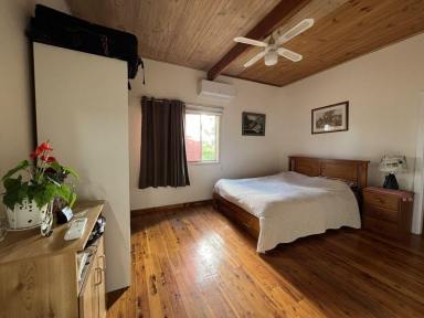 House For Sale - NSW - Lightning Ridge - 2834 - Charming 4 Bedroom Camp with Cozy Fireplace & Modern Comforts.  (Image 2)