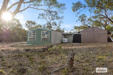 Other (Rural) For Sale - VIC - Wallaloo East - 3387 - Rare Country Hideaway  (Image 2)