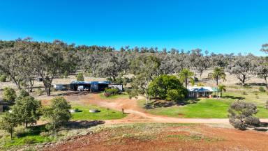 Mixed Farming Auction - NSW - Boggabri - 2382 - First  time offered in over 60 years  (Image 2)