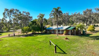 Mixed Farming For Sale - NSW - Boggabri - 2382 - First  time offered in over 60 years  (Image 2)