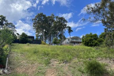 Residential Block For Sale - NSW - Coomba Park - 2428 - Boundless Opportunity  (Image 2)