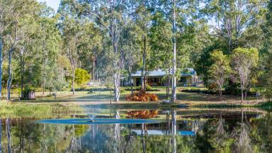Acreage/Semi-rural For Sale - QLD - Paterson - 4570 - Tranquil 41.06 Acre Oasis: Serene Gardens and Unmatched Peace Await on this Idyllic Property!  (Image 2)