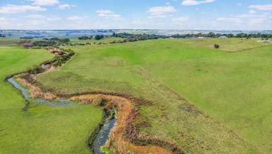 Livestock For Sale - VIC - Grassmere - 3281 - Prime Grazing Land with Merri River Frontage  (Image 2)