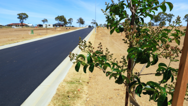 Residential Block Sold - QLD - Warwick - 4370 - BUILD READY ACREAGE LIFESTYLE LAND  (Image 2)