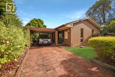 House For Sale - VIC - Shepparton - 3630 - CLOSE TO GV HEALTH - COMFORTABLE & AFFORDABLE  (Image 2)