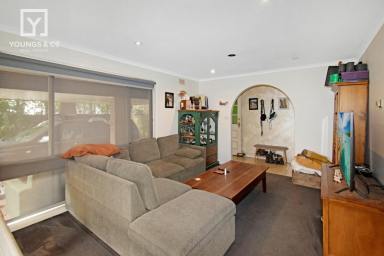 House For Sale - VIC - Shepparton - 3630 - CLOSE TO GV HEALTH - COMFORTABLE & AFFORDABLE  (Image 2)