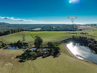 Mixed Farming For Sale - TAS - Rocky Cape - 7321 - Amazing Grazing  (Image 2)