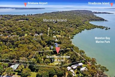 Lifestyle For Sale - QLD - Macleay Island - 4184 - Golden Building Opportunity with Versatile Use Options  (Image 2)